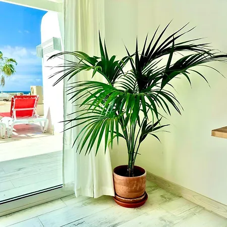 Luxury Paradiese - Sea Views